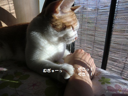 昨日4