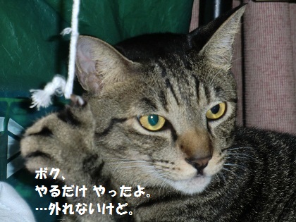 爪9