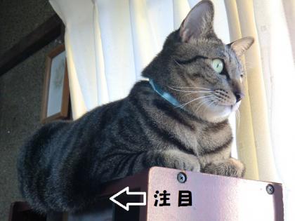 特等席2