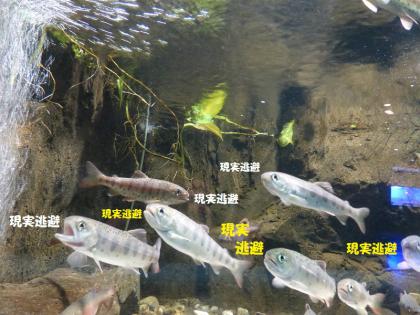 さいたま水族館2