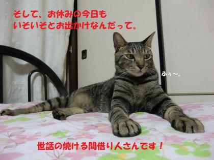 シマジから3