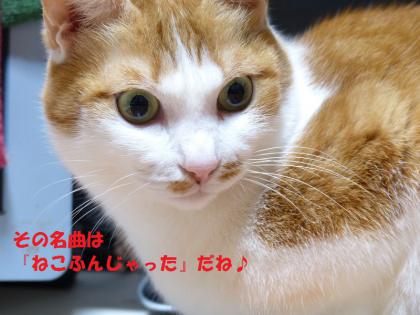 チャビから3