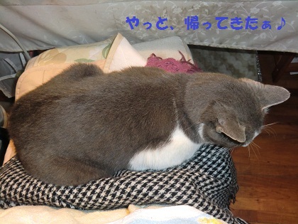 ある日1