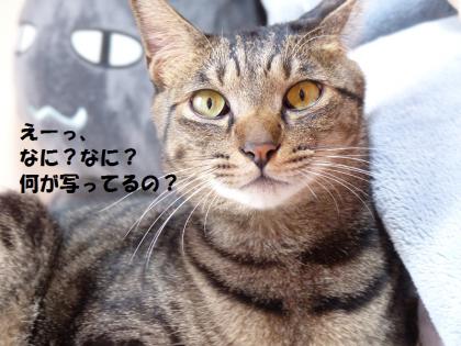 後2