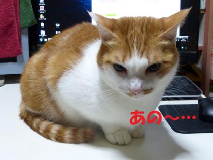 お願い1