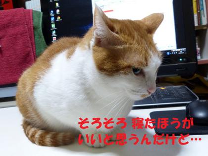お願い2