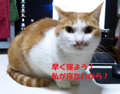 お願い4