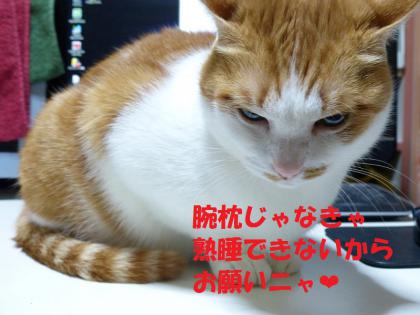 お願い5