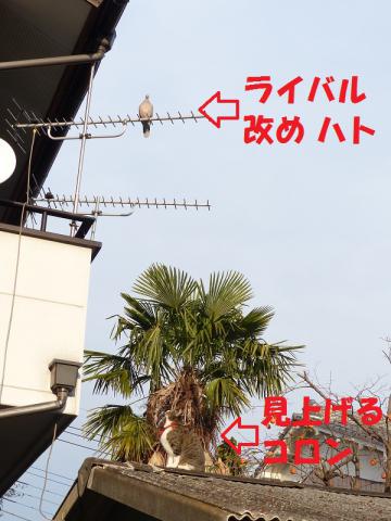 見上げた先には2