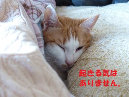 朝1