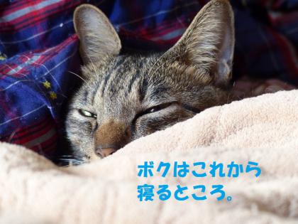 朝2