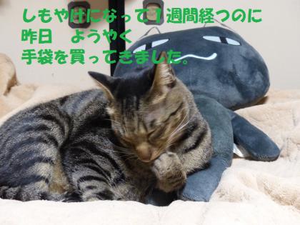 しま2