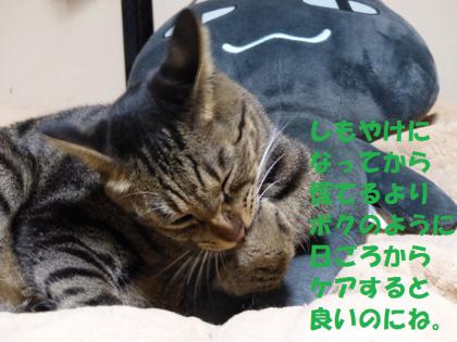しま3