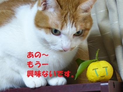 冬至5