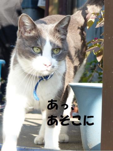 ぐっころん2