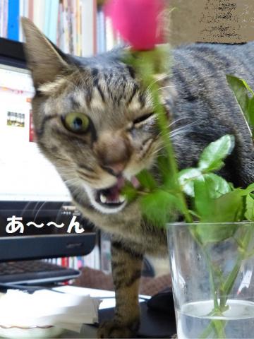 訳3