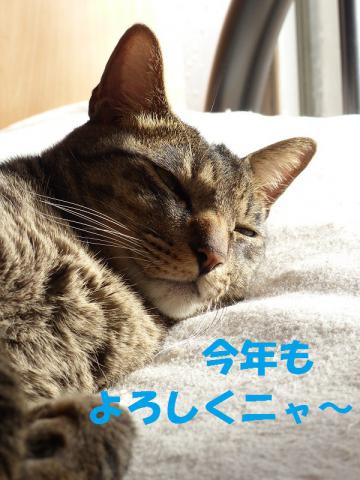 し2