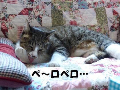 コロン2