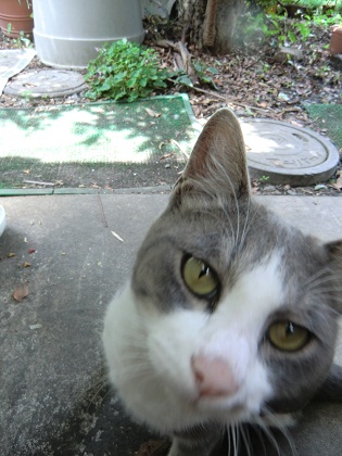 22_20120707185810.jpg