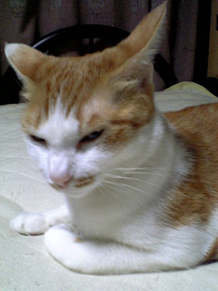 a02.jpg