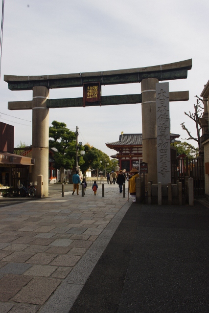 IMGP7090 (427x640)