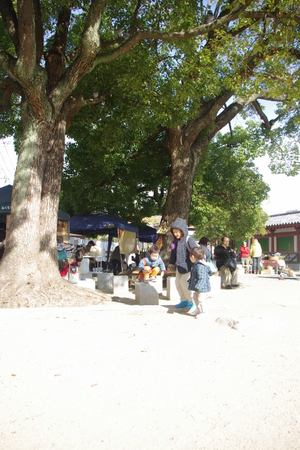 IMGP7096 (427x640)
