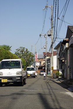 IMGP5733.jpg