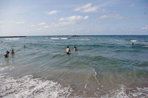 IMGP6219.jpg