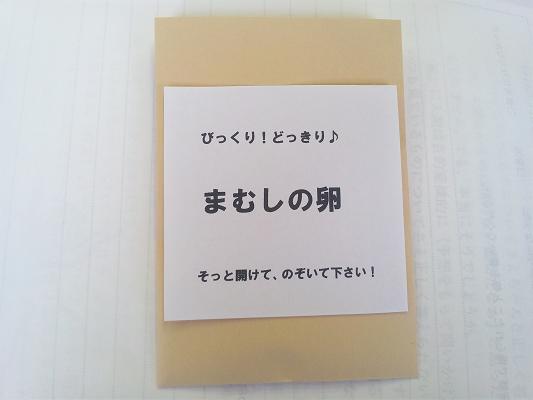 足立区 扇 Yoga Room チャイチャイ 手作りオモチャ まむしの卵