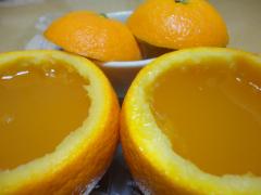 DSC05430.jpg