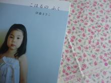 DSC05738.jpg