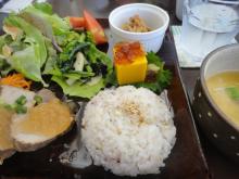 DSC06255.jpg