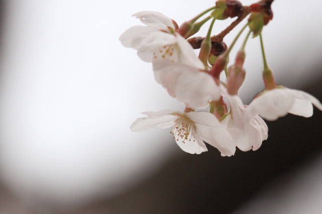 20130320.jpg