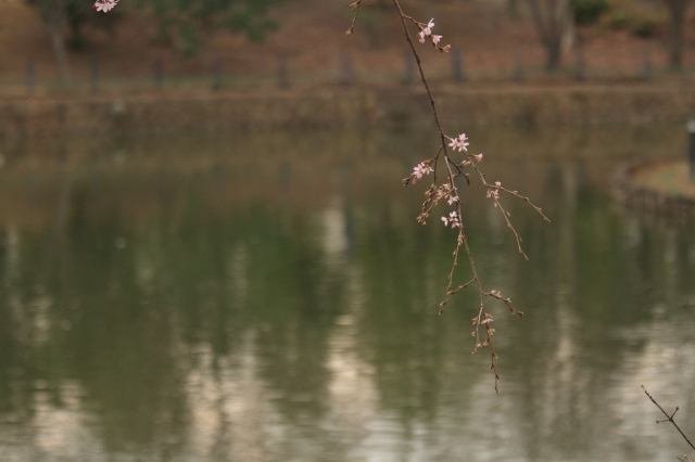 20130320 (3)
