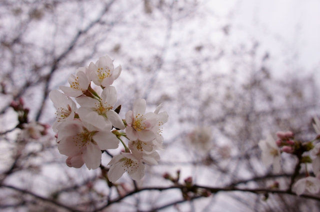20130320 (6)