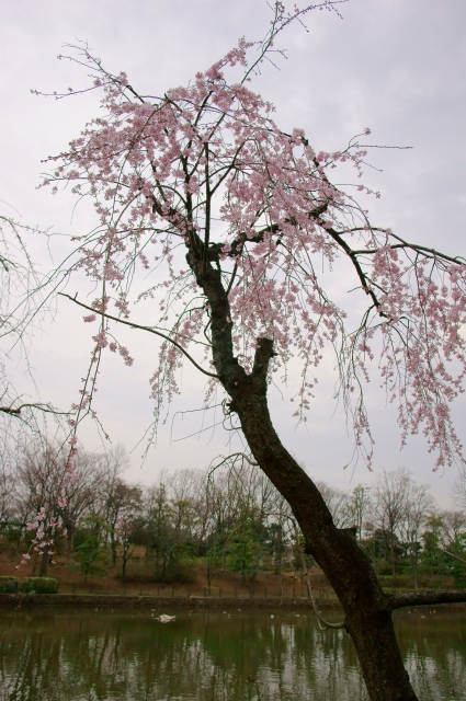 20130320 (4)