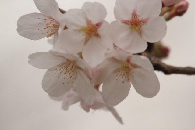 20130320 (5)