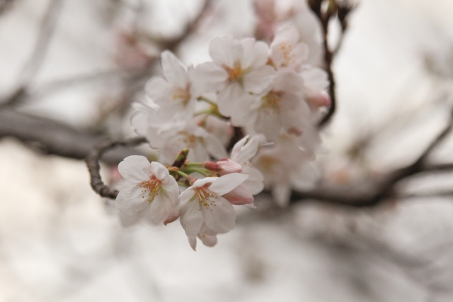 20130320 (2)