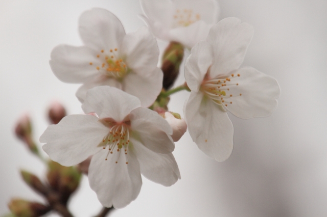 20130320 (7)