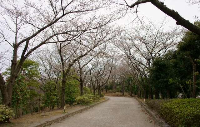 20130320 (18)