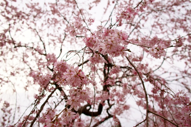20130320 (15)