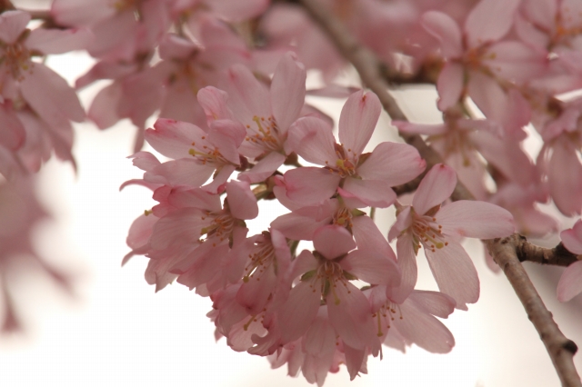 20130320 (16)