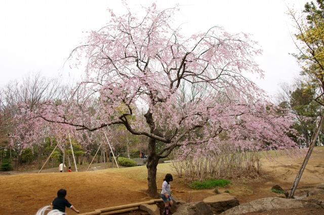 20130320 (14)