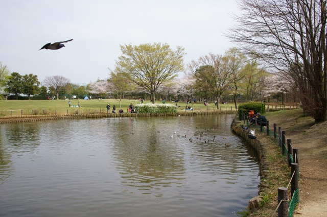 20130324 (8)