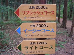 20130526ooshibaa.jpg