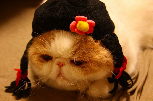づらジャム