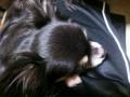20120828_004308.jpg