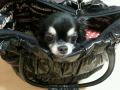 20121001_160526.jpg