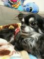 20121001_184856.jpg
