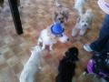 20121027_141539.jpg